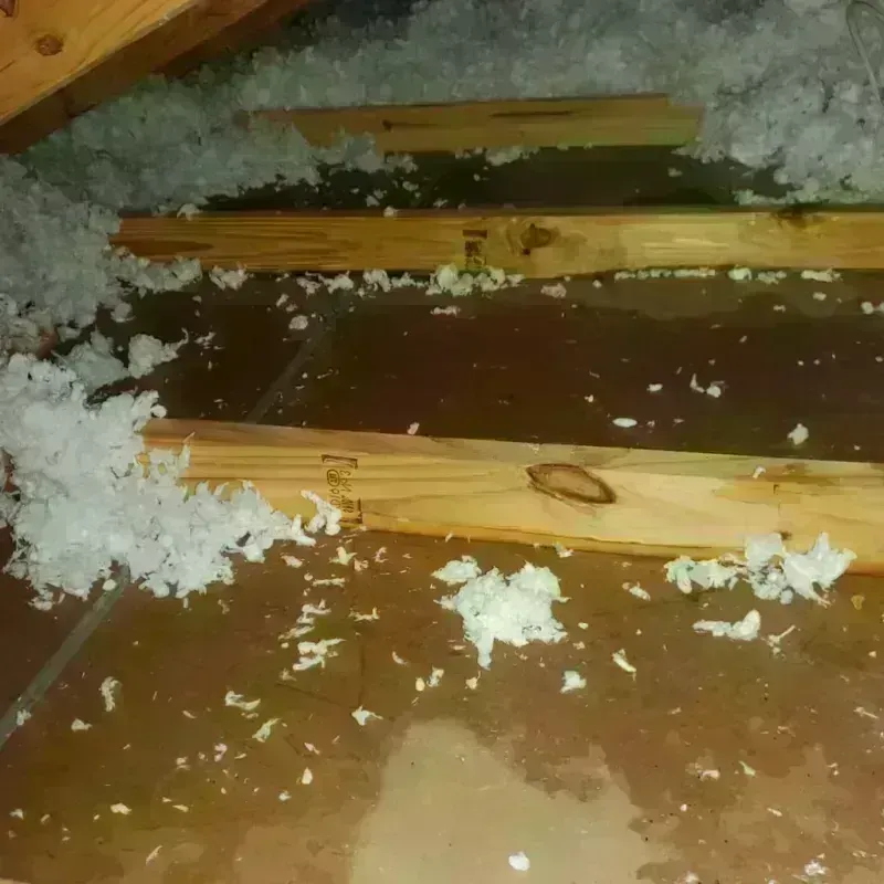 Attic Water Damage in Troup County, GA